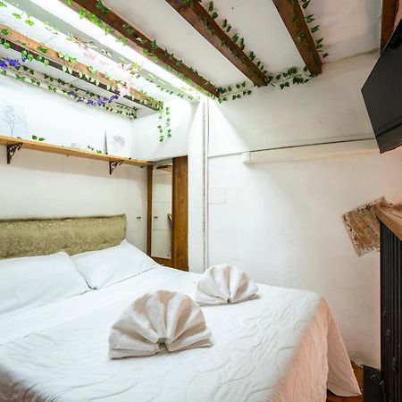 3 - Monolocale Caratteristico E Silenzioso Apartment Firenze Bagian luar foto